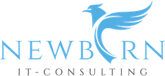 NewBorn IT-Consulting